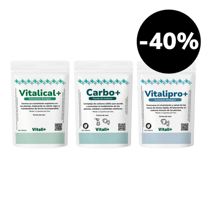 Pack Verano