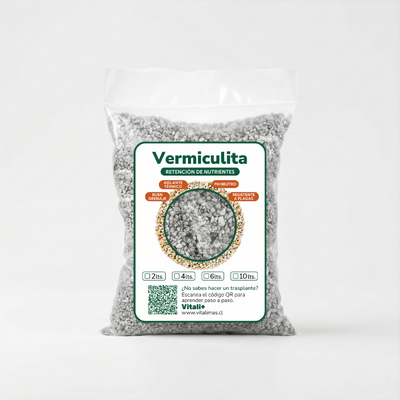 Vermiculita