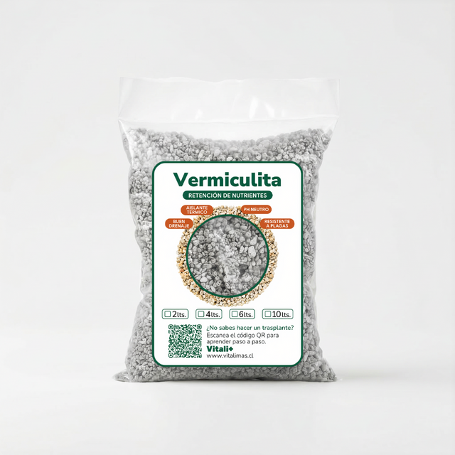 Vermiculita