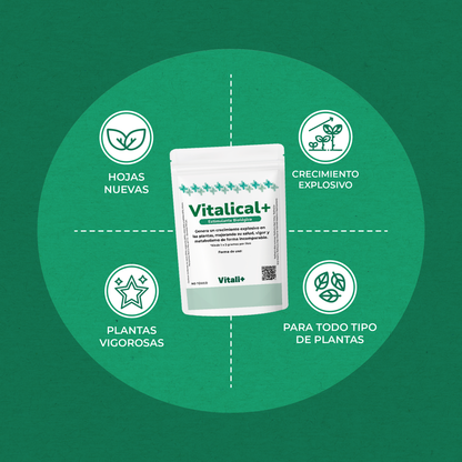 Vitalical