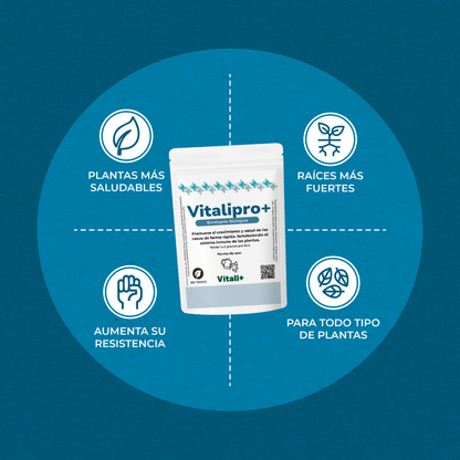 Vitalipro