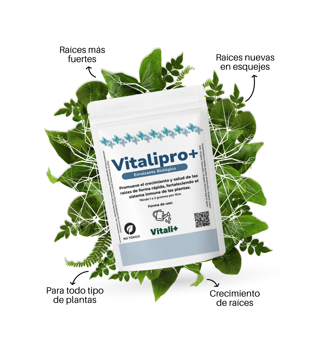 Vitalipro