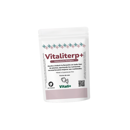 Vitaliterp
