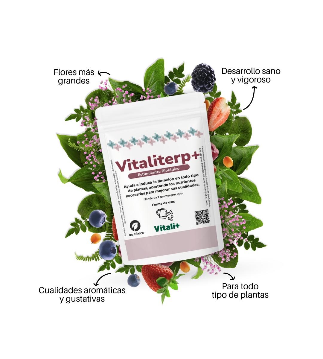 Vitaliterp