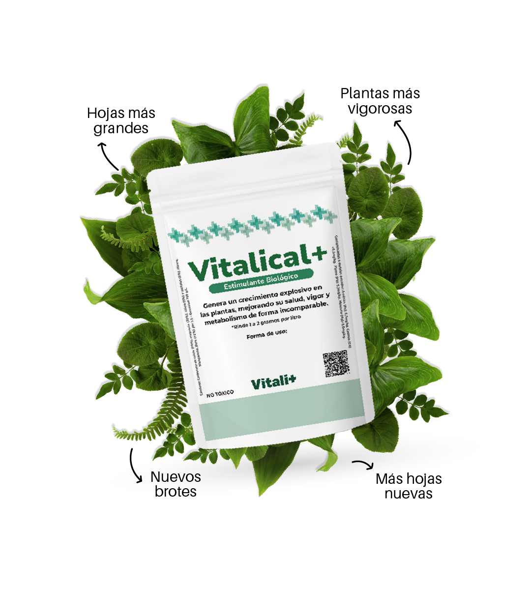 Vitalical