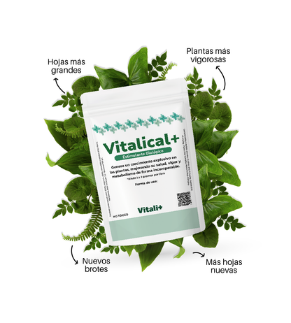 Vitalical